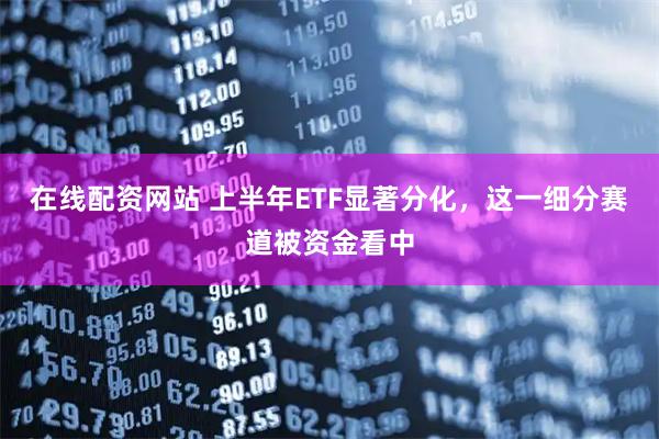 在线配资网站 上半年ETF显著分化，这一细分赛道被资金看中